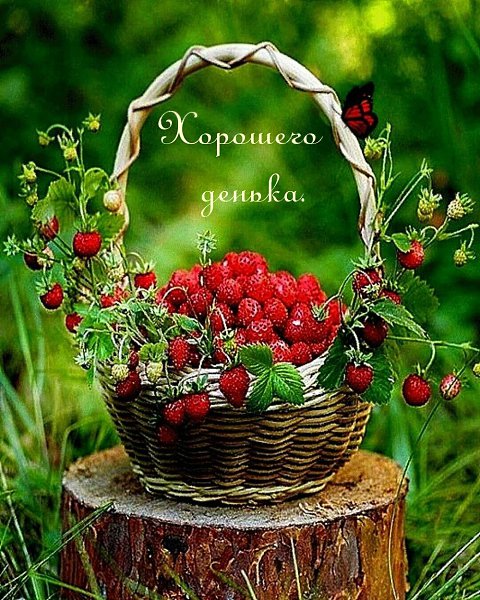 ***Victoria Viktorovna*** - 6  2022  06:09