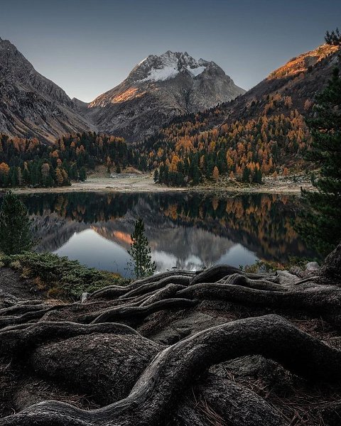 �������� ��������� - 2