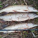 ���� ���������, ������, 50 ��� - ��������� 27 ������ 2023