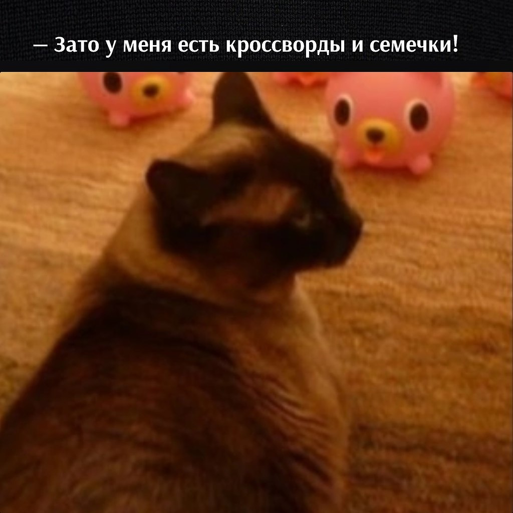       - 11  2023  11:12 - 3