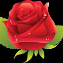 ���� �������, ������, 27 ��� - ��������� 26 ������� 2022 � ������ ���� ����������