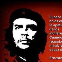 �����, ����������, 48 ���