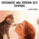  ̳, , 48  -  10  2022    