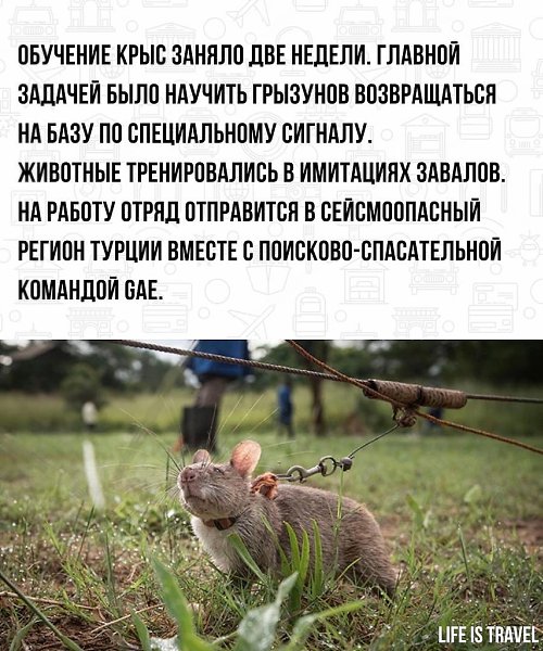 LIFE -  - 9  2022  15:54 - 3