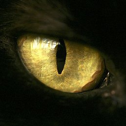 ��������, �����, 62 ����