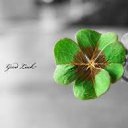 ���� �����, ������ ��������, 34 ���� - ��������� 25 ����� 2022 � ������ ���� ����������