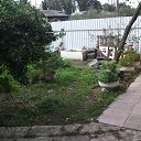 ���� �����, ����������� - ��������� 29 ��� 2022 � ������ ���� ����������