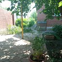 ���� �������, ������, 76 ��� - ��������� 4 ���� 2022