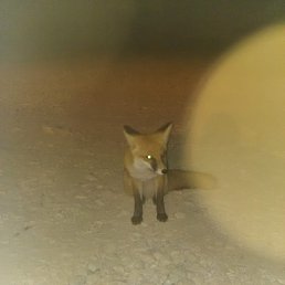 ���� ������, �������, 41 ��� - ��������� 16 ������ 2023