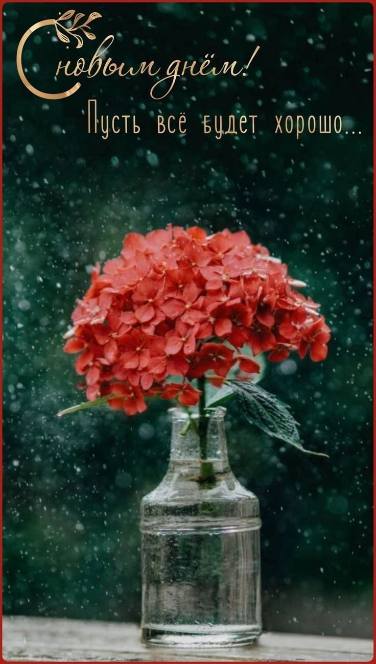 ***Victoria Viktorovna*** - 2  2023  11:49