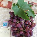 ���� ����, ���������, 62 ���� - ��������� 21 ������ 2022