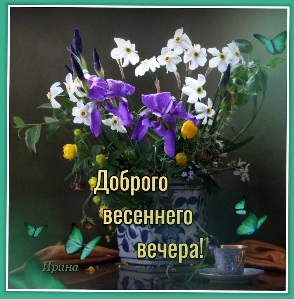   ,    . - 13  2022  18:36 - 2