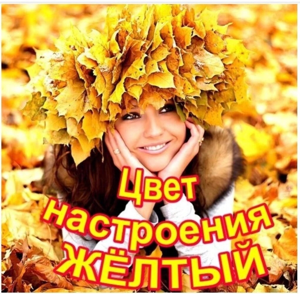      . ,   ,     ,  ... - 4