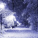 ���� �����, ����, 40 ��� - ��������� 1 ������� 2022 � ������ ����� 2022 (17:12 1/12/2022)�