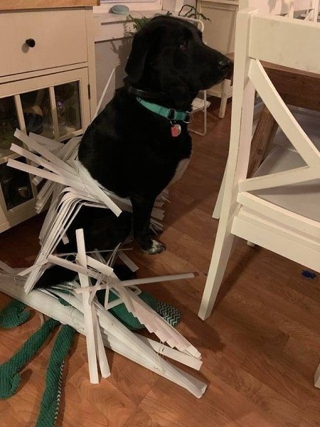 ������� - ��������� ��������������