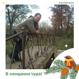 ����, �������, 69 ���