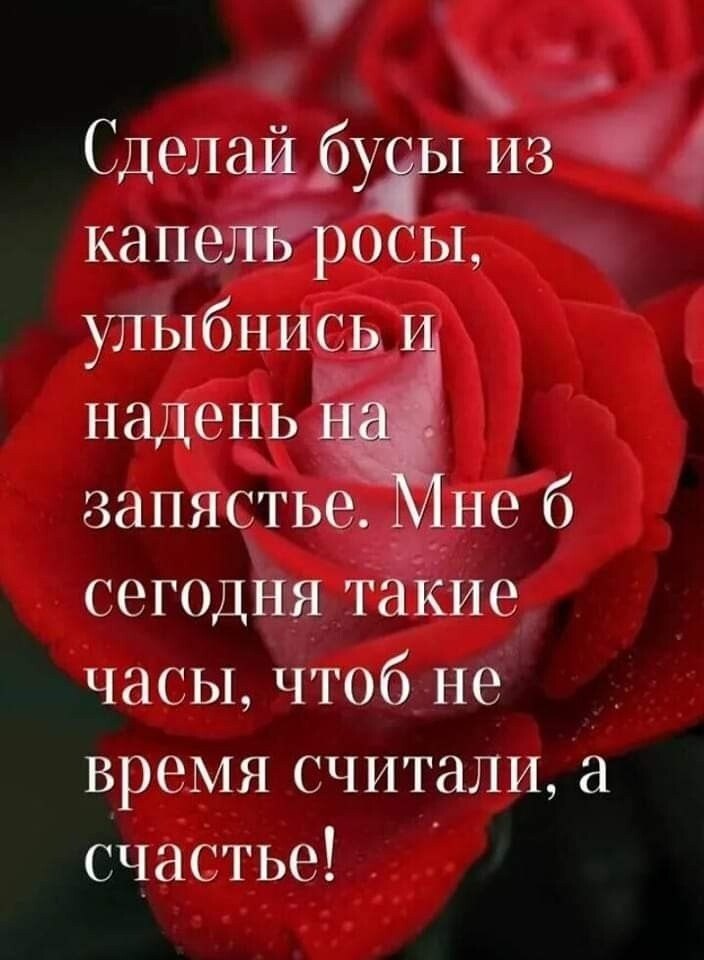  - 29  2022  19:35