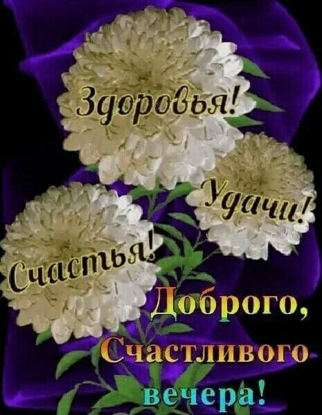   ,    . - 2  2022  19:09