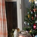 ���� ����, ������, 62 ���� - ��������� 27 ������ 2022 � ������ ���� ����������