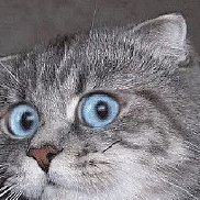 , 68 ,  
