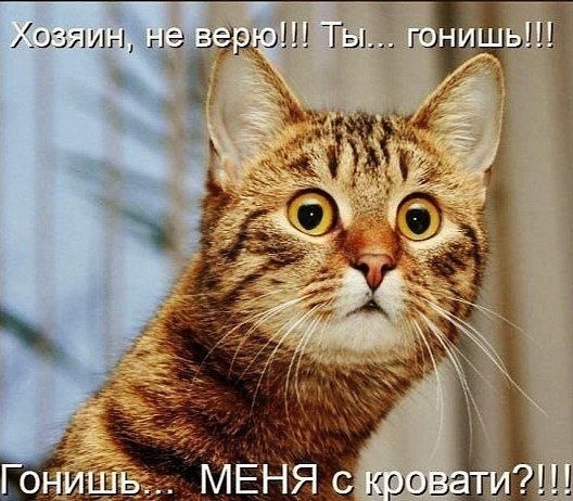    - 29  2022  14:32