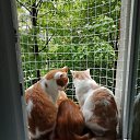 ���� �������, ������, 63 ���� - ��������� 18 ������� 2022 � ������ ���� ����������