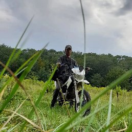 ������� �����������, �������, 29 ���