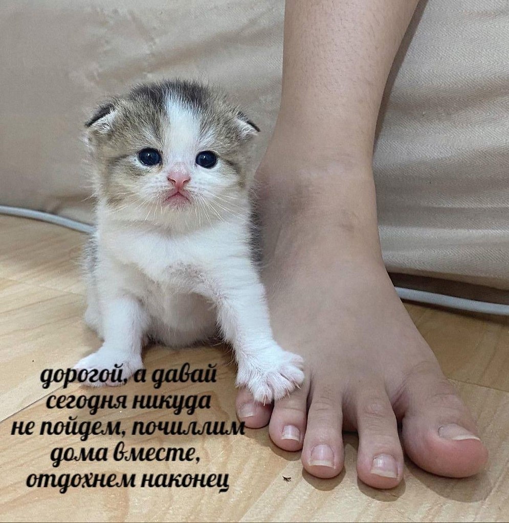    - 26  2022  18:21