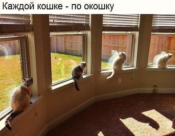    - 7  2022  20:30