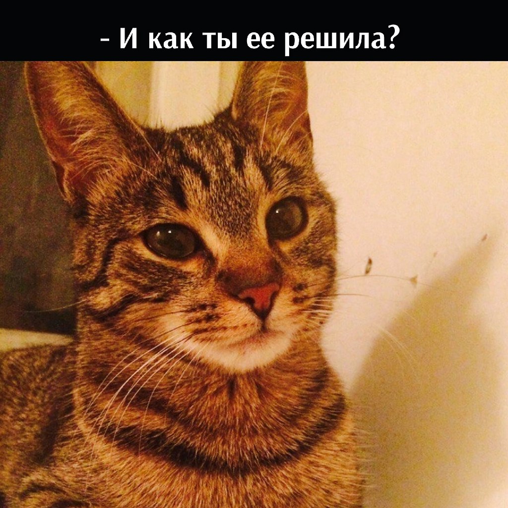       - 23  2022  13:24 - 3