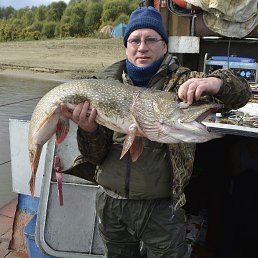 ���� �������, �����������, 55 ��� - ��������� 31 ������� 2022