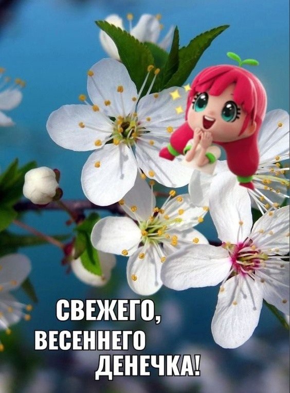   ,    . - 29  2022  09:57
