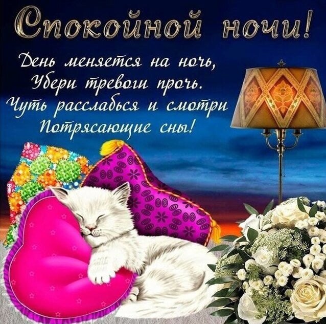  ,    . - 14  2022  21:12 - 6