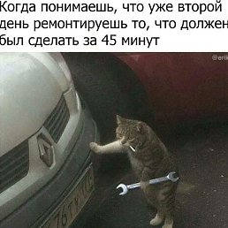 , , 46 