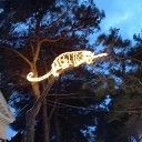  Viktor,  -  10  2022   