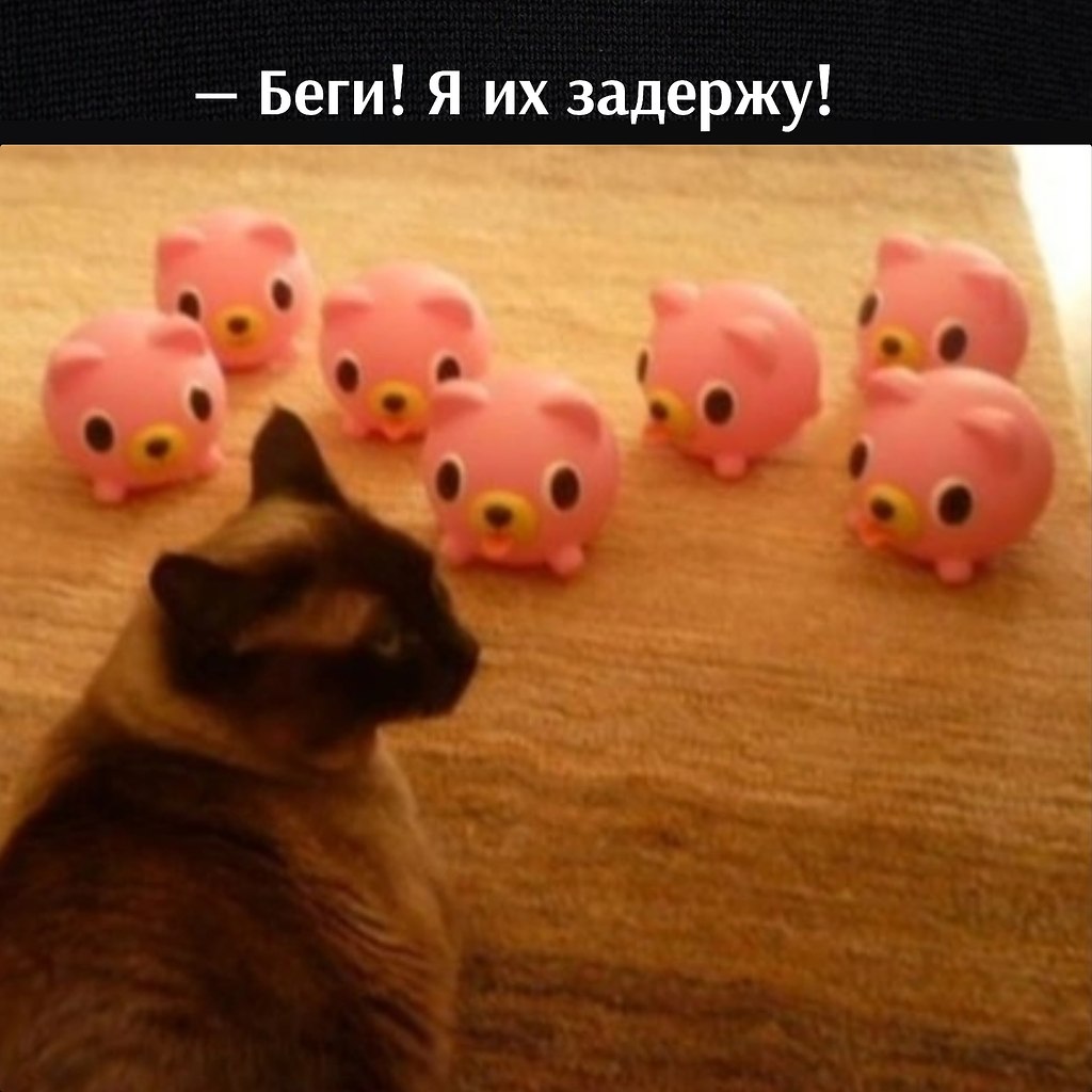       - 11  2023  11:12