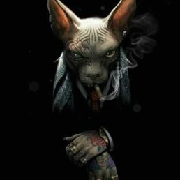 ���� ������, �������, 44 ���� - ��������� 31 ����� 2022