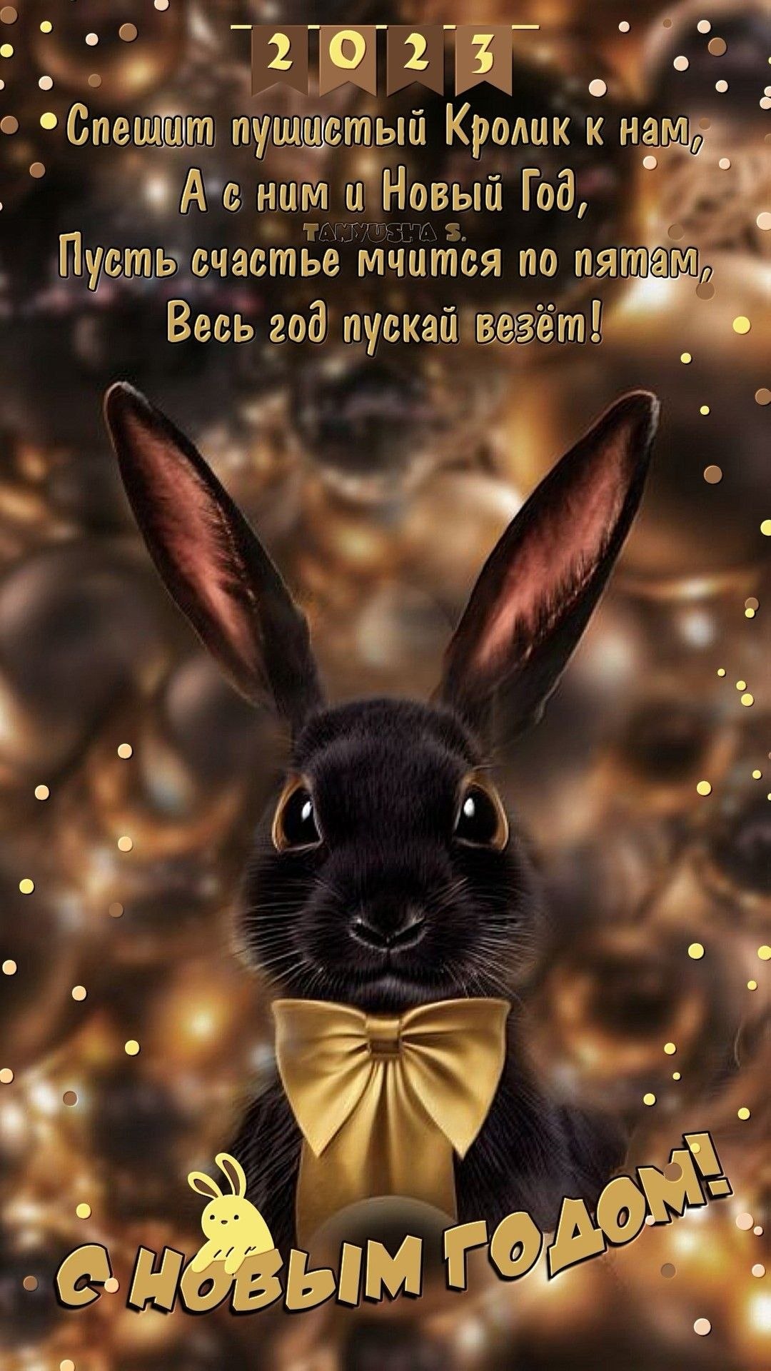 Veta - 30  2022  18:16