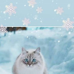 ���� ����, ������ ��������, 66 ��� - ��������� 7 ������� 2022