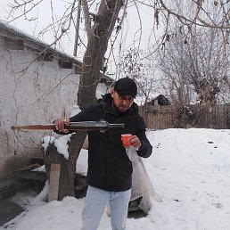 ���, �����-���������, 36 ���