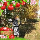 ���� �������, �����������, 54 ���� - ��������� 9 ������� 2022