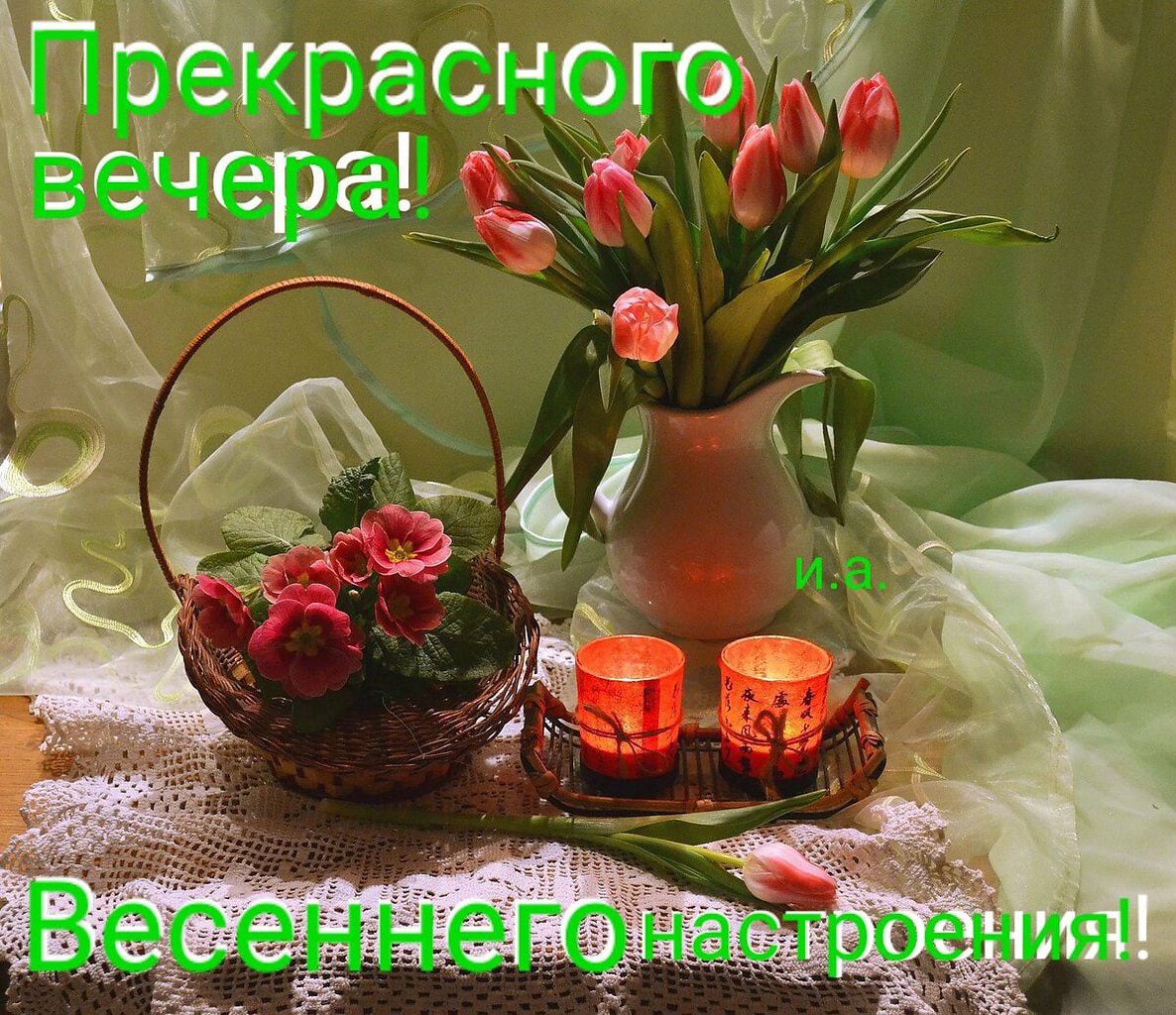   ,    . - 25  2022  19:57 - 10