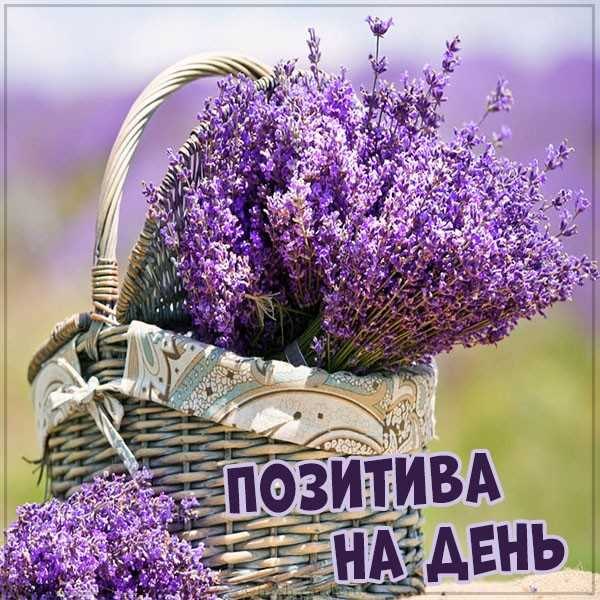  ,    . - 7  2022  04:58