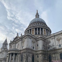 ���� ����, ������������, 73 ���� - ��������� 26 ������ 2022