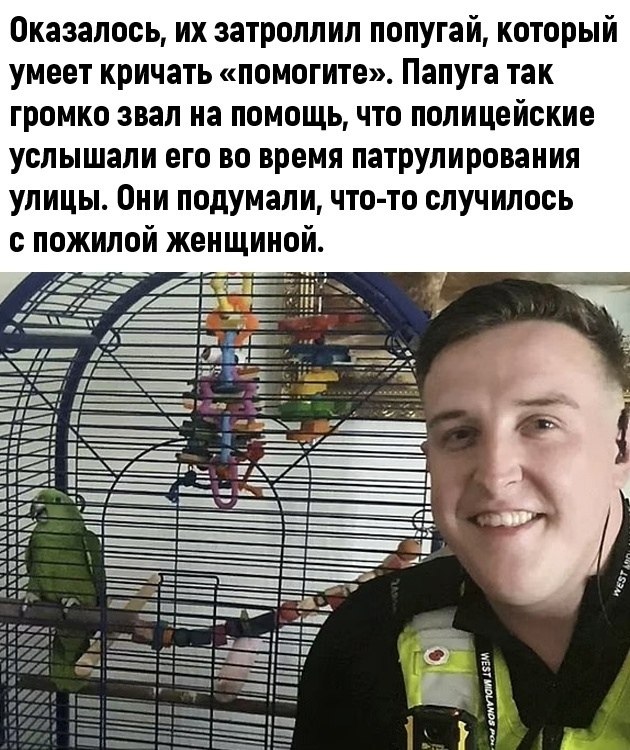,    - 2