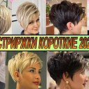 ���� �������, ������ ���, 50 ��� - ��������� 15 ������ 2023 � ������ ������ ��������