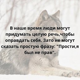 ����, ���������, 22 ����
