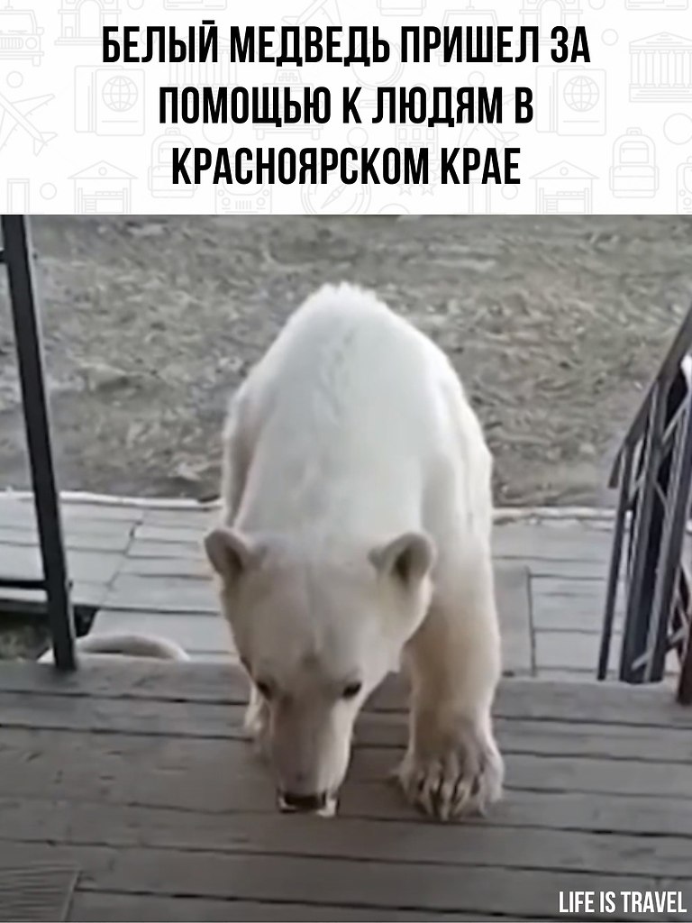       .      ,  ...