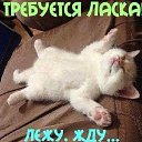 ���� ������, ������ ��������, 49 ��� - ��������� 24 ������ 2022 � ������ ���� ����������