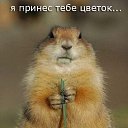 ���� ���������, �������, 63 ���� - ��������� 26 ������ 2022 � ������ ������ ��������